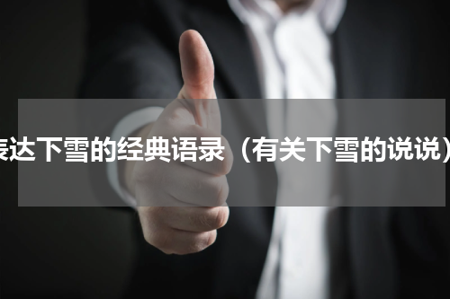 表达下雪的经典语录（有关下雪的说说）