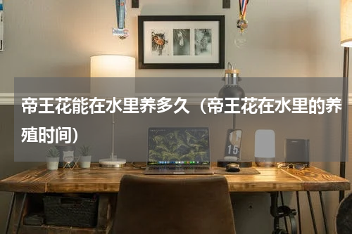 帝王花能在水里养多久（帝王花在水里的养殖时间）