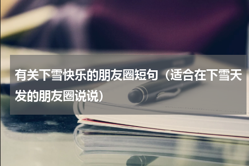 有关下雪快乐的朋友圈短句（适合在下雪天发的朋友圈说说）