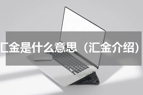 汇金是什么意思（汇金介绍）