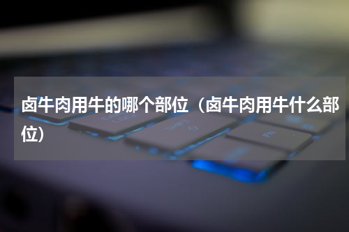 卤牛肉用牛的哪个部位（卤牛肉用牛什么部位）