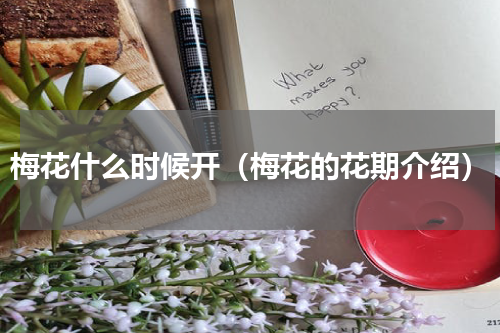 梅花什么时候开（梅花的花期介绍）