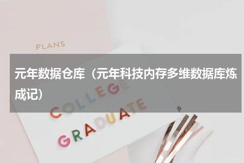 元年数据仓库（元年科技内存多维数据库炼成记）