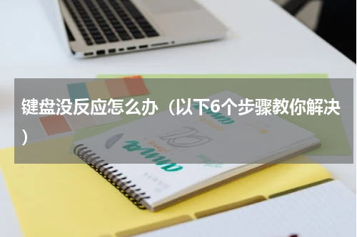 键盘没反应怎么办（以下6个步骤教你解决）