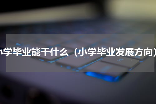 小学毕业能干什么（小学毕业发展方向）