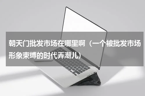 朝天门批发市场在哪里啊（一个被批发市场形象束缚的时代弄潮儿）