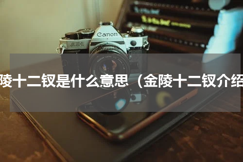 金陵十二钗是什么意思（金陵十二钗介绍）