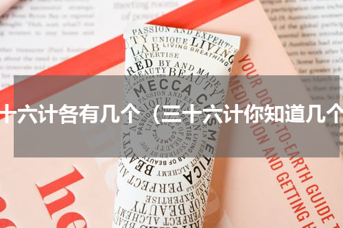 三十六计各有几个（三十六计你知道几个）