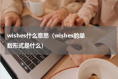 wishes什么意思（wishes的单数形式是什么）