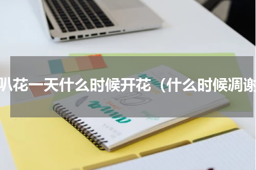 喇叭花一天什么时候开花（什么时候凋谢）