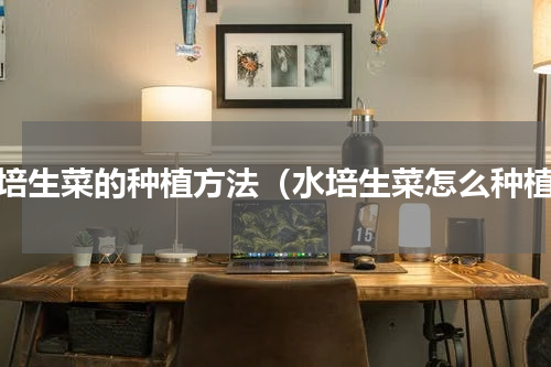 水培生菜的种植方法（水培生菜怎么种植）