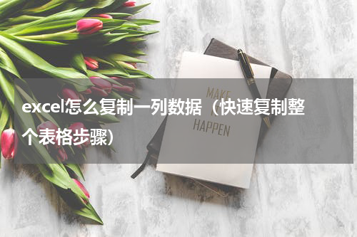 excel怎么复制一列数据（快速复制整个表格步骤）