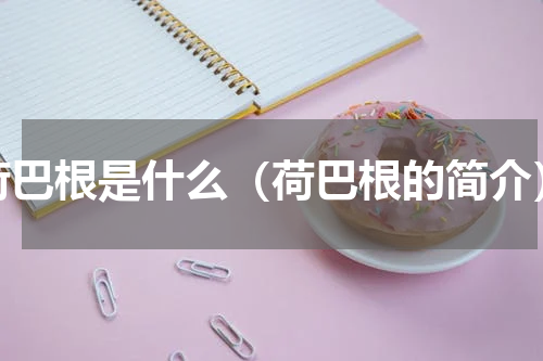 荷巴根是什么（荷巴根的简介）