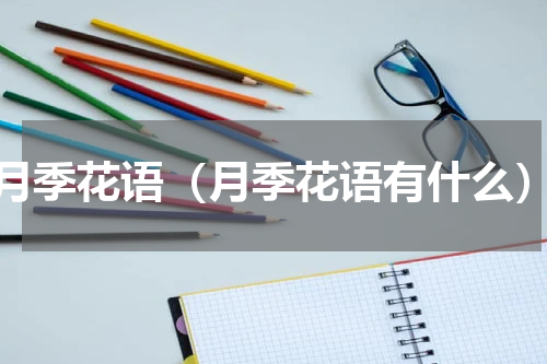 月季花语（月季花语有什么）