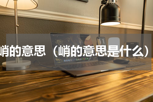 峭的意思（峭的意思是什么）