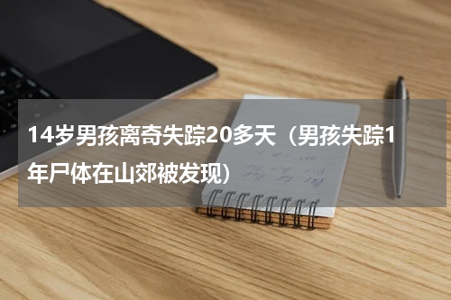 14岁男孩离奇失踪20多天（男孩失踪1年尸体在山郊被发现）