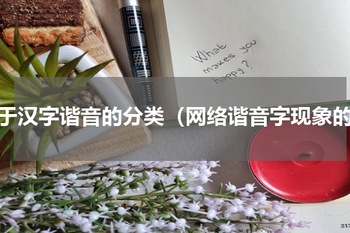 关于汉字谐音的分类（网络谐音字现象的）