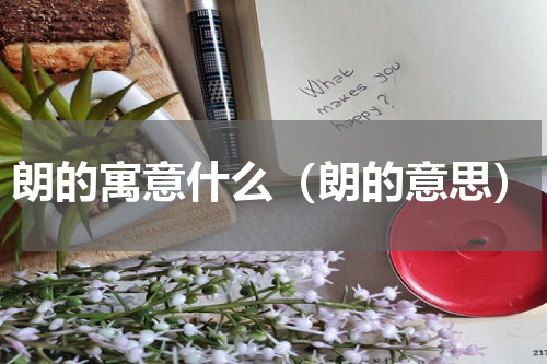朗的寓意什么（朗的意思）