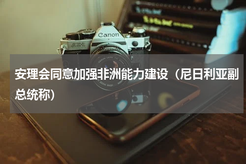 安理会同意加强非洲能力建设（尼日利亚副总统称）
