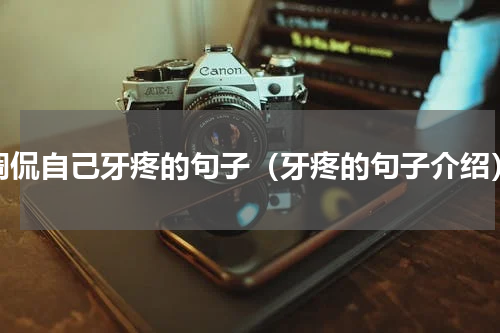 调侃自己牙疼的句子（牙疼的句子介绍）