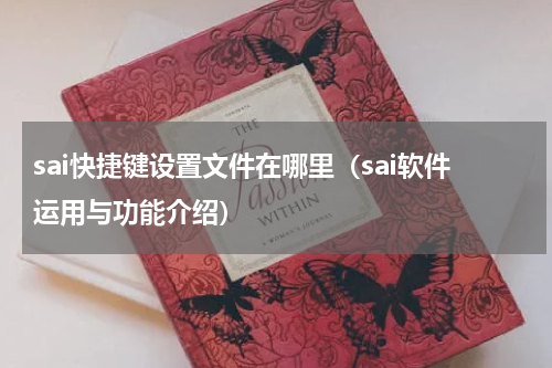 sai快捷键设置文件在哪里（sai软件运用与功能介绍）