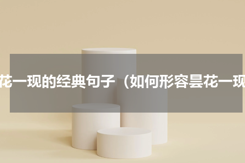 昙花一现的经典句子（如何形容昙花一现）