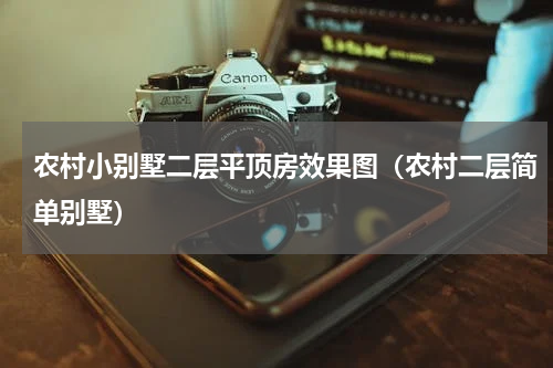 农村小别墅二层平顶房效果图（农村二层简单别墅）