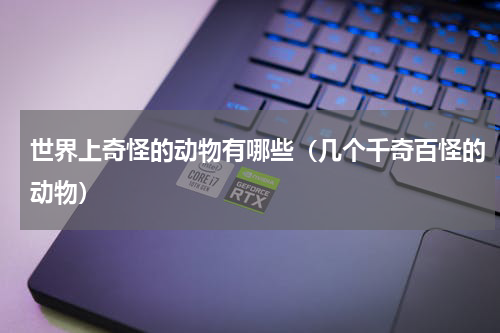 世界上奇怪的动物有哪些（几个千奇百怪的动物）