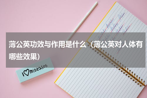 薄公英功效与作用是什么（薄公英对人体有哪些效果）