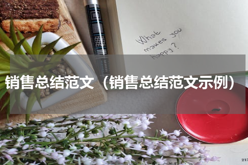 销售总结范文（销售总结范文示例）