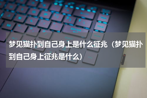 梦见猫扑到自己身上是什么征兆（梦见猫扑到自己身上征兆是什么）