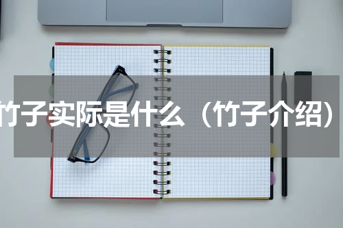 竹子实际是什么（竹子介绍）