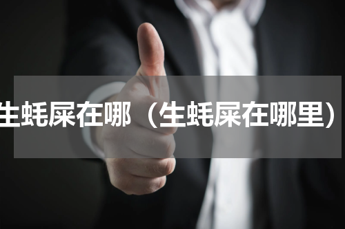 生蚝屎在哪（生蚝屎在哪里）
