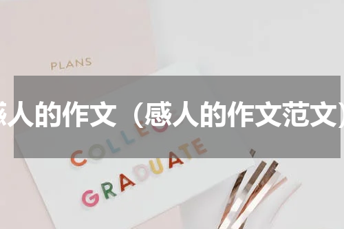感人的作文（感人的作文范文）