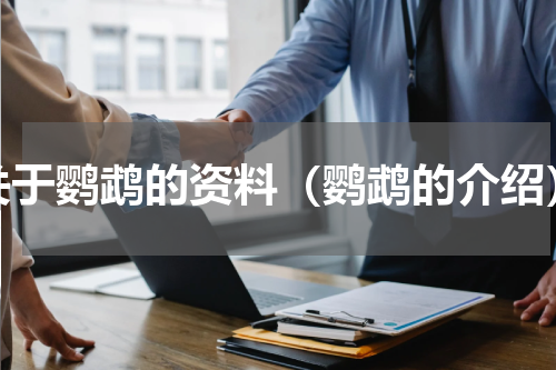 关于鹦鹉的资料（鹦鹉的介绍）