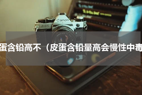皮蛋含铅高不（皮蛋含铅量高会慢性中毒）