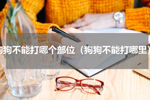 狗狗不能打哪个部位（狗狗不能打哪里）