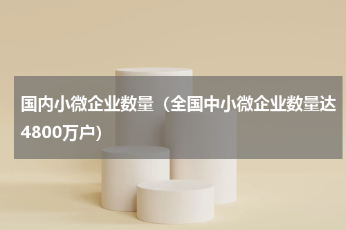 国内小微企业数量（全国中小微企业数量达4800万户）