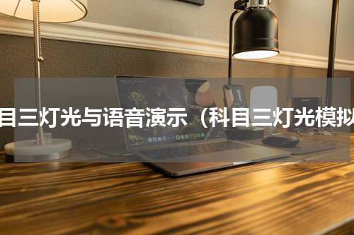 科目三灯光与语音演示（科目三灯光模拟）