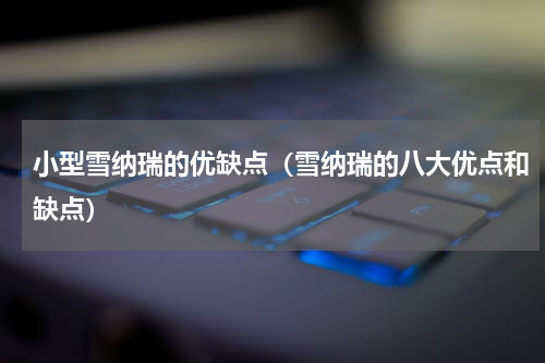 小型雪纳瑞的优缺点（雪纳瑞的八大优点和缺点）