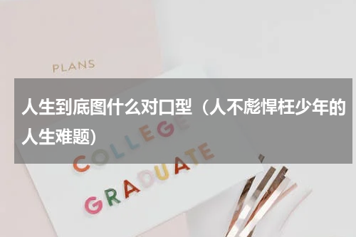 人生到底图什么对口型（人不彪悍枉少年的人生难题）