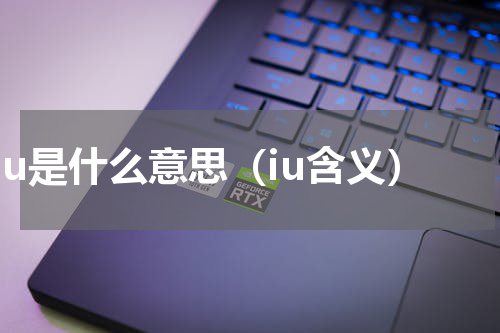 iu是什么意思（iu含义）
