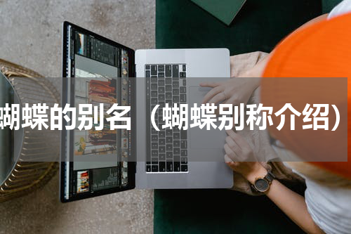 蝴蝶的别名（蝴蝶别称介绍）