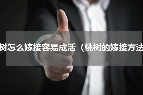 桃树怎么嫁接容易成活（桃树的嫁接方法）