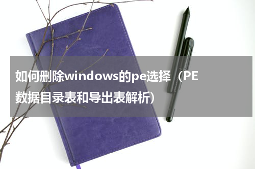 如何删除windows的pe选择（PE数据目录表和导出表解析）