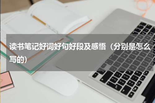 读书笔记好词好句好段及感悟（分别是怎么写的）