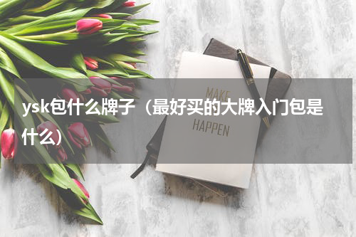 ysk包什么牌子（最好买的大牌入门包是什么）