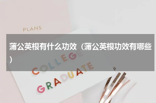 蒲公英根有什么功效（蒲公英根功效有哪些）