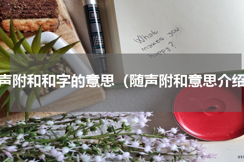 随声附和和字的意思（随声附和意思介绍）