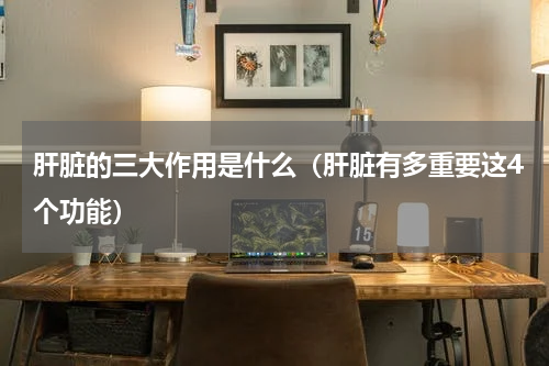 肝脏的三大作用是什么（肝脏有多重要这4个功能）